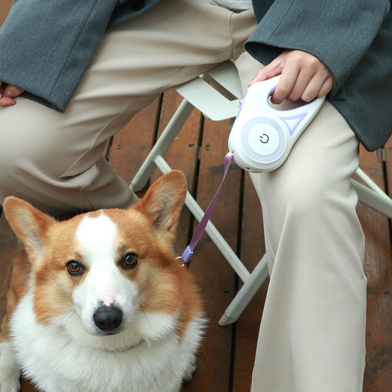 Fantastic Dog Leash With Built-in Spotligh For Extra Safety